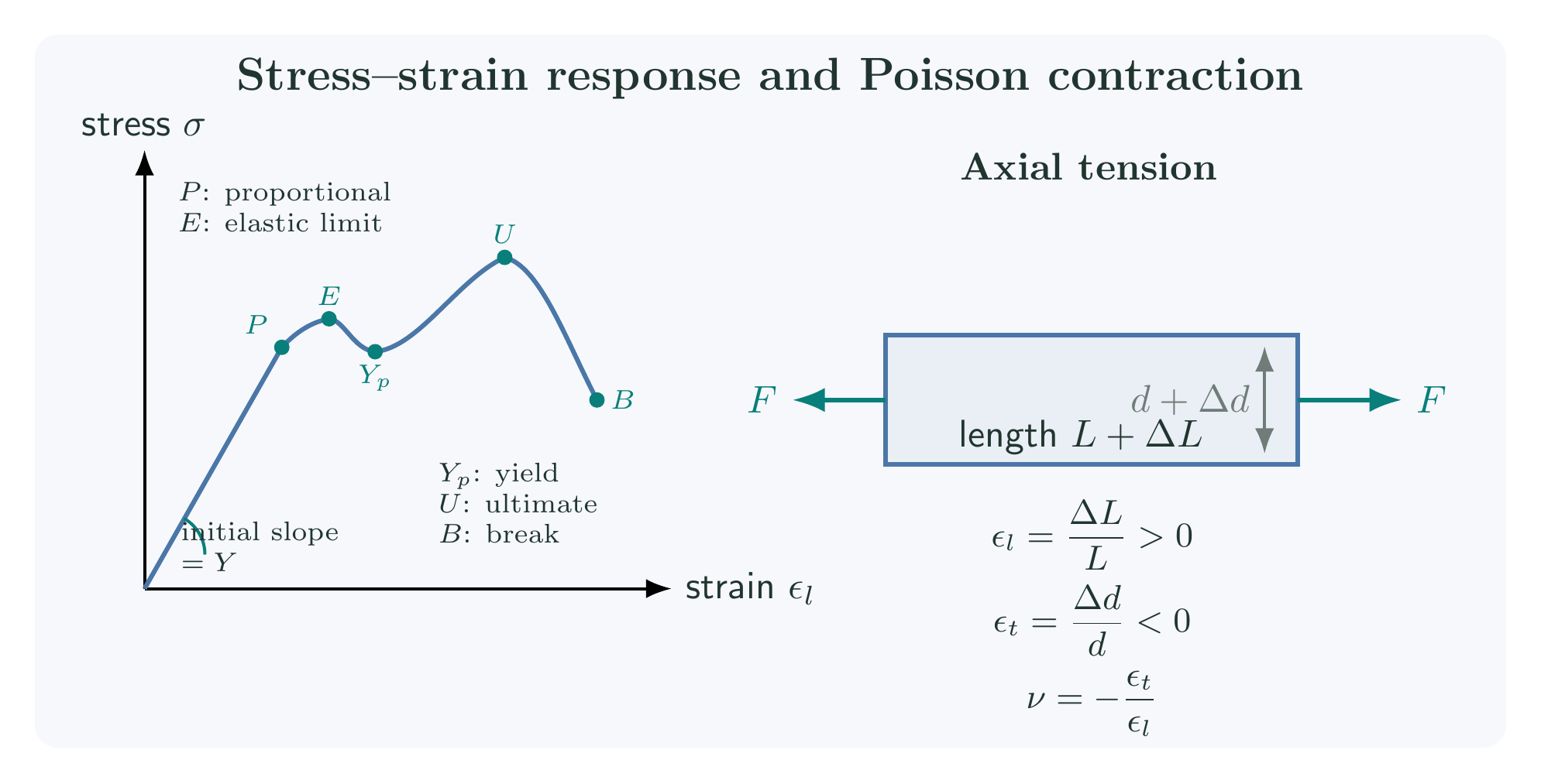 Stress-strain curve and the longitudinal and transverse strains of a stretched rod