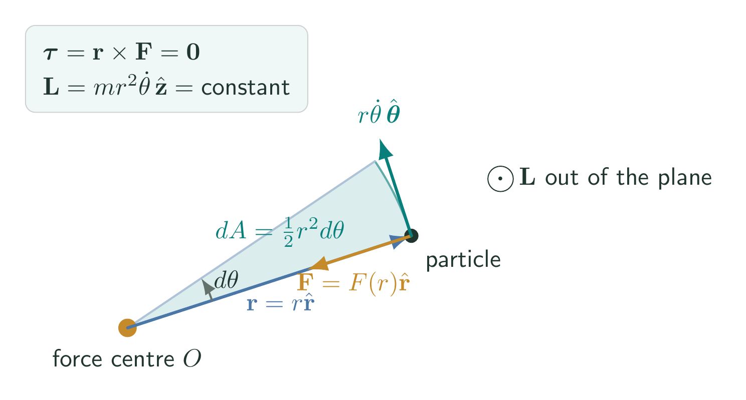 Central-force geometry showing the radial force, transverse velocity, angular momentum, and swept sector
