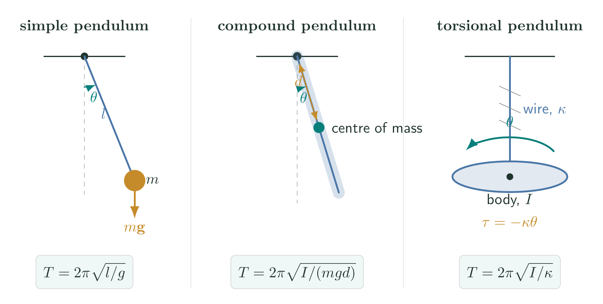 Simple, compound, and torsional pendulum geometries with their restoring variables