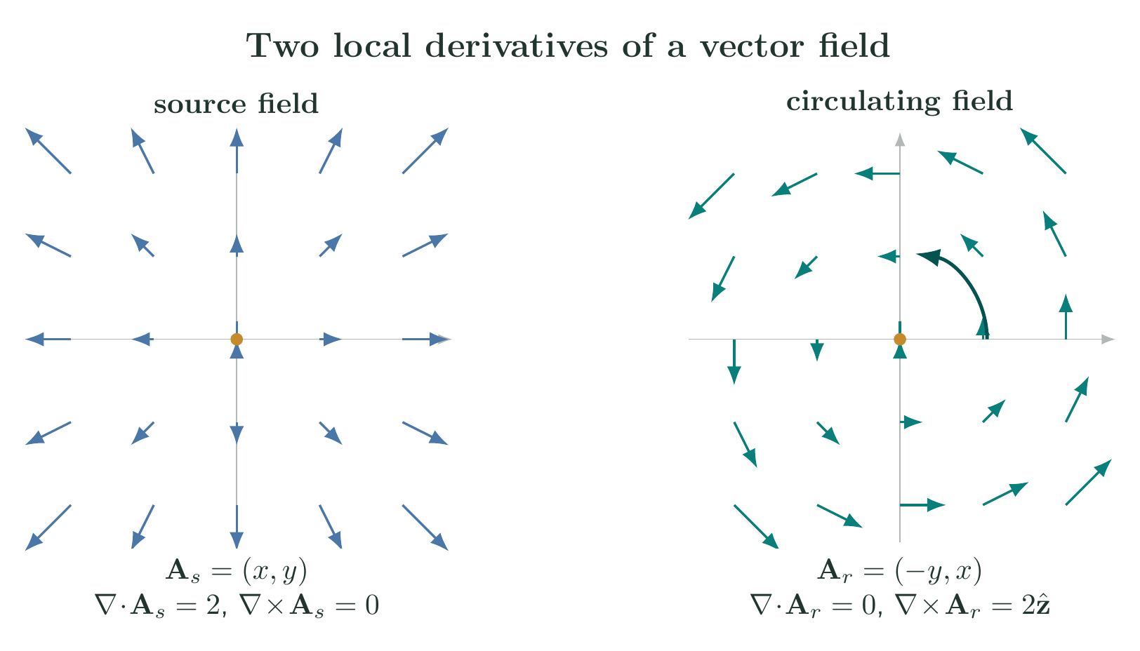 Radial source field and rotational field generated from their vector equations