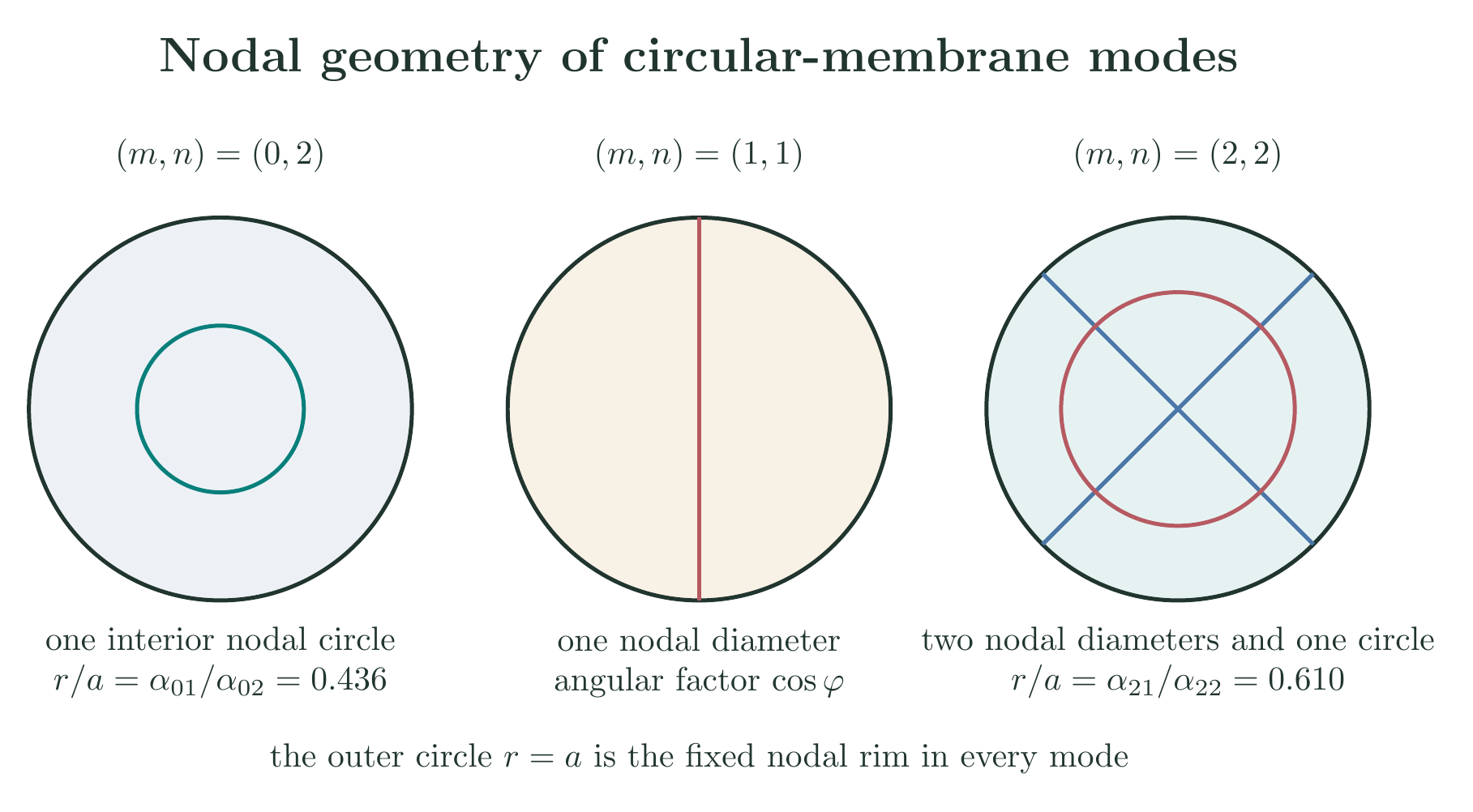 Nodal circles and nodal diameters for selected circular membrane modes