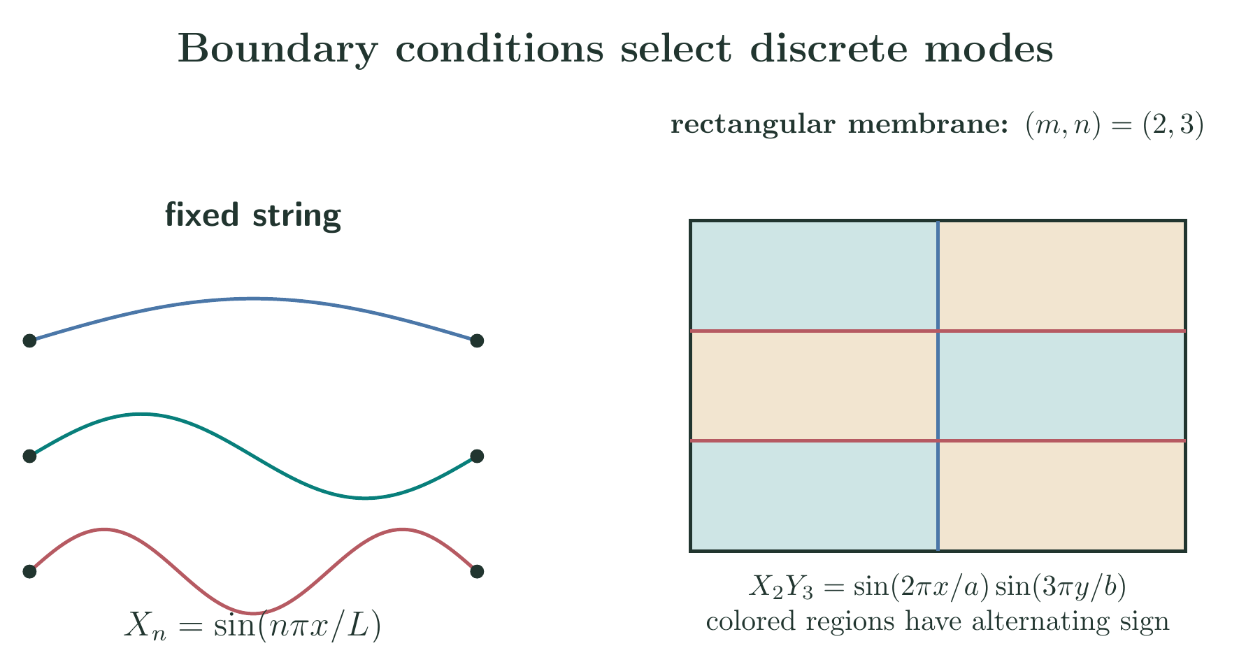 Equation-generated fixed-string modes and nodal lines of a rectangular membrane mode