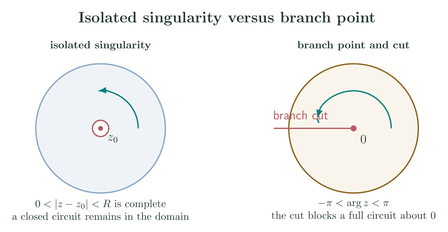 Complex plane showing an isolated pole, a punctured neighborhood, and a branch cut from a branch point