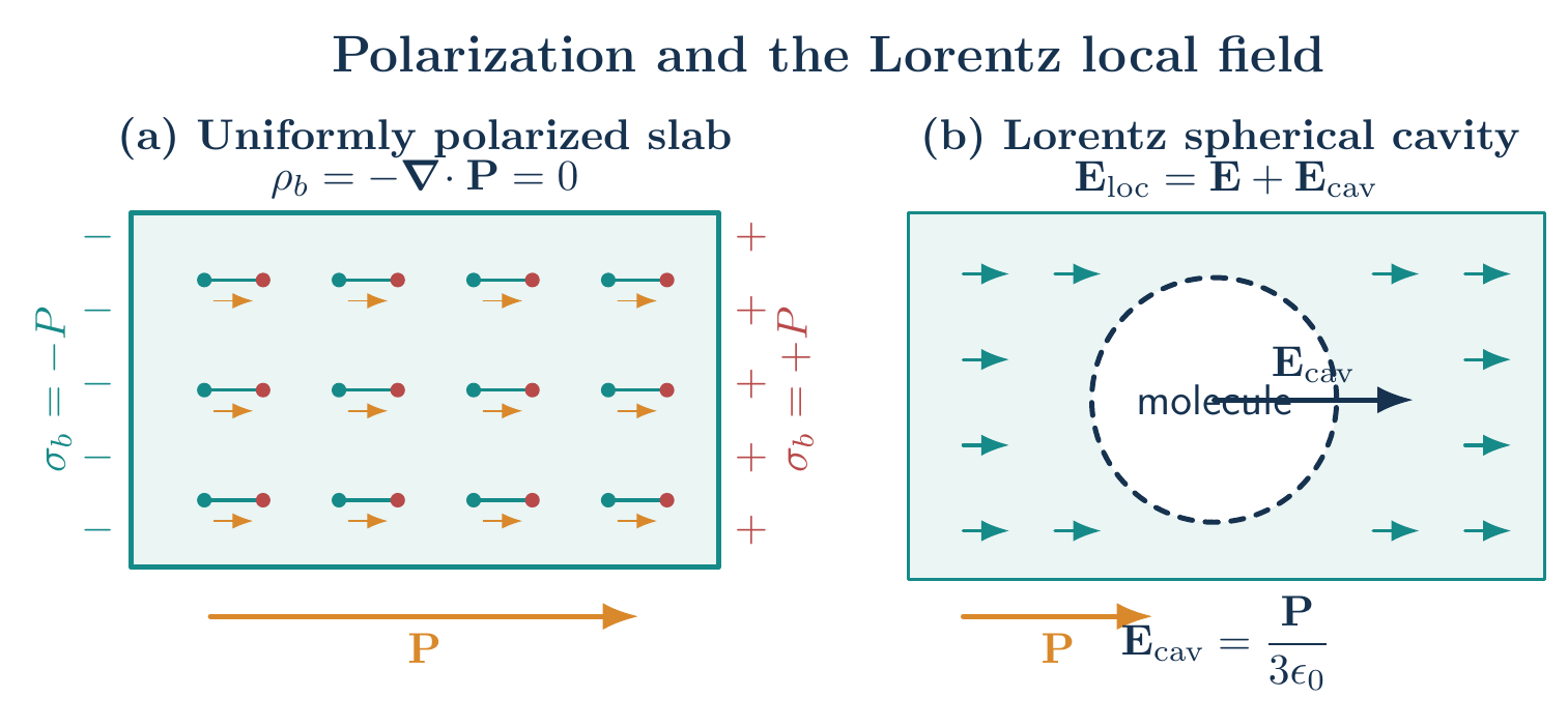 Uniformly polarized dielectric slab and Lorentz spherical cavity used to obtain the local electric field