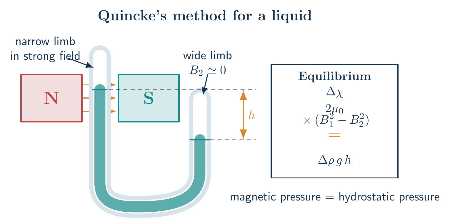 Quincke tube with a narrow limb between electromagnet poles, wide reference limb outside the field, and measured hydrostatic head