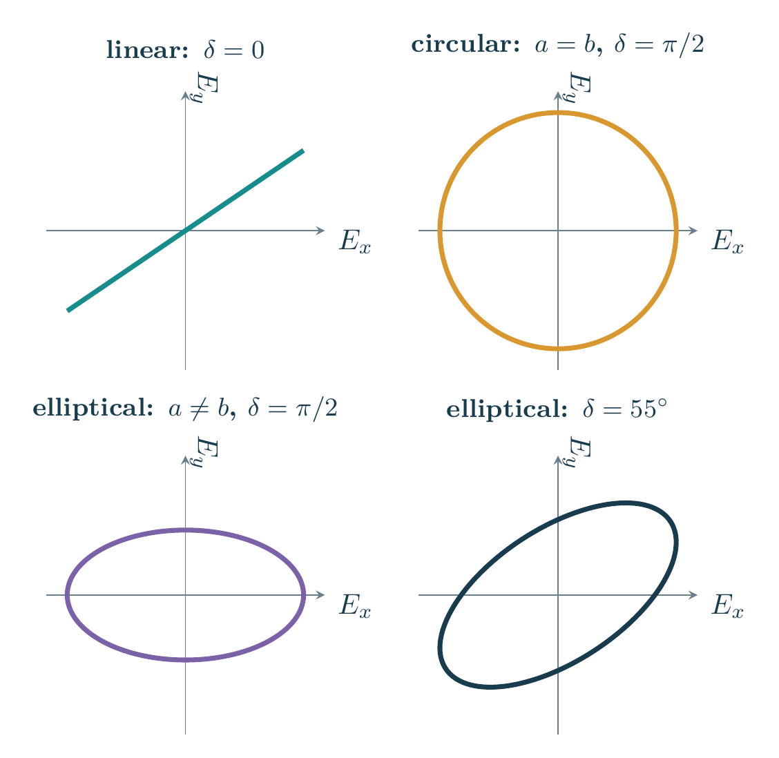 Equation-generated electric-field trajectories for linear, circular, and two elliptical polarization states