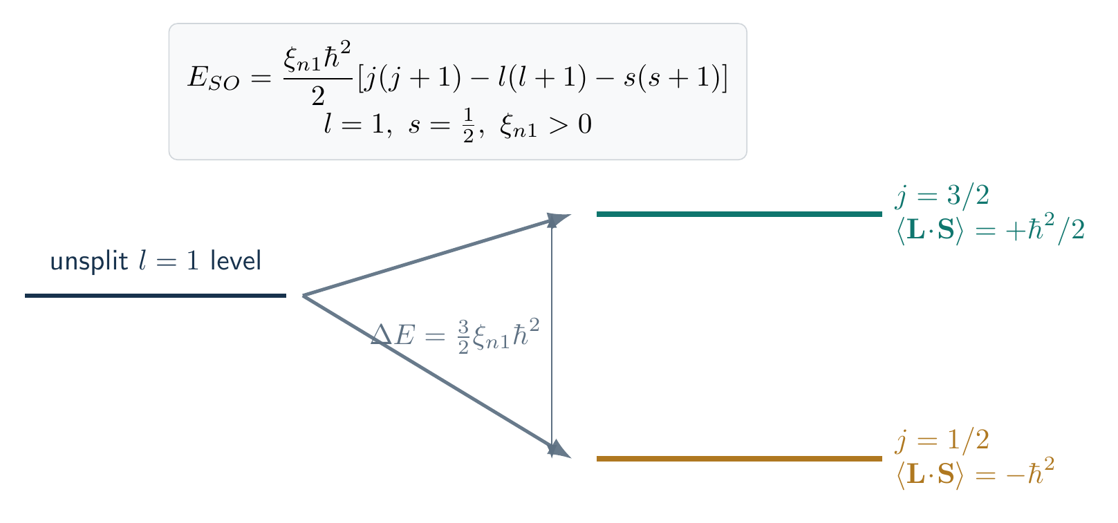 Equation-generated spin-orbit splitting of an l equals one level into j equals three halves and one half