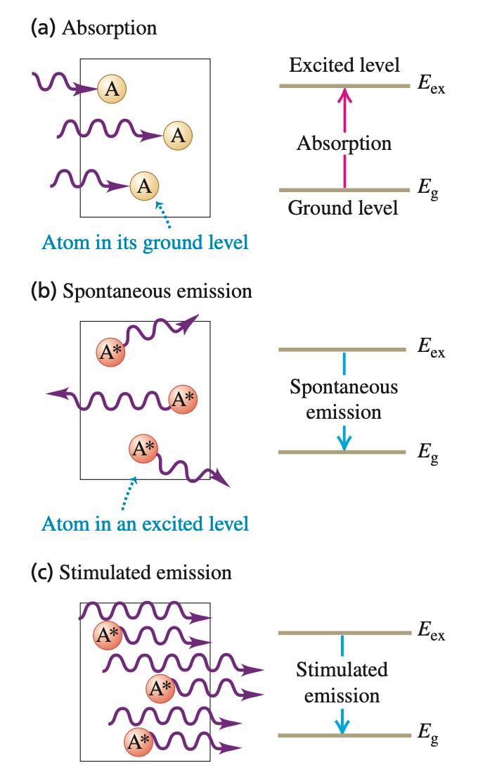 Interaction Process