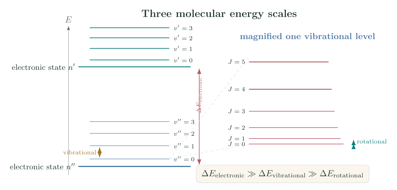 Nested molecular energy structure showing two widely separated electronic states, vibrational levels within each state, and closely spaced rotational levels within one vibrational level