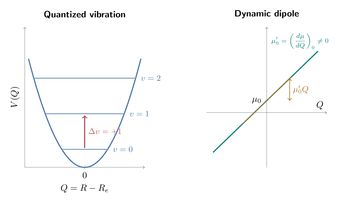Harmonic vibrational potential with a fundamental transition from v equals zero to v equals one, paired with a molecular dipole function having nonzero slope at equilibrium