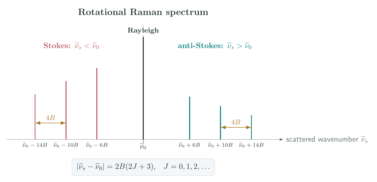 Raman spectrum with a strong central Rayleigh line, lower-frequency Stokes lines, higher-frequency anti-Stokes lines, and rotational Raman spacing of four B