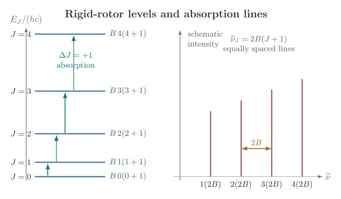 Rigid-rotor energy levels proportional to J times J plus one, with adjacent allowed absorption transitions and their increasing wavenumbers
