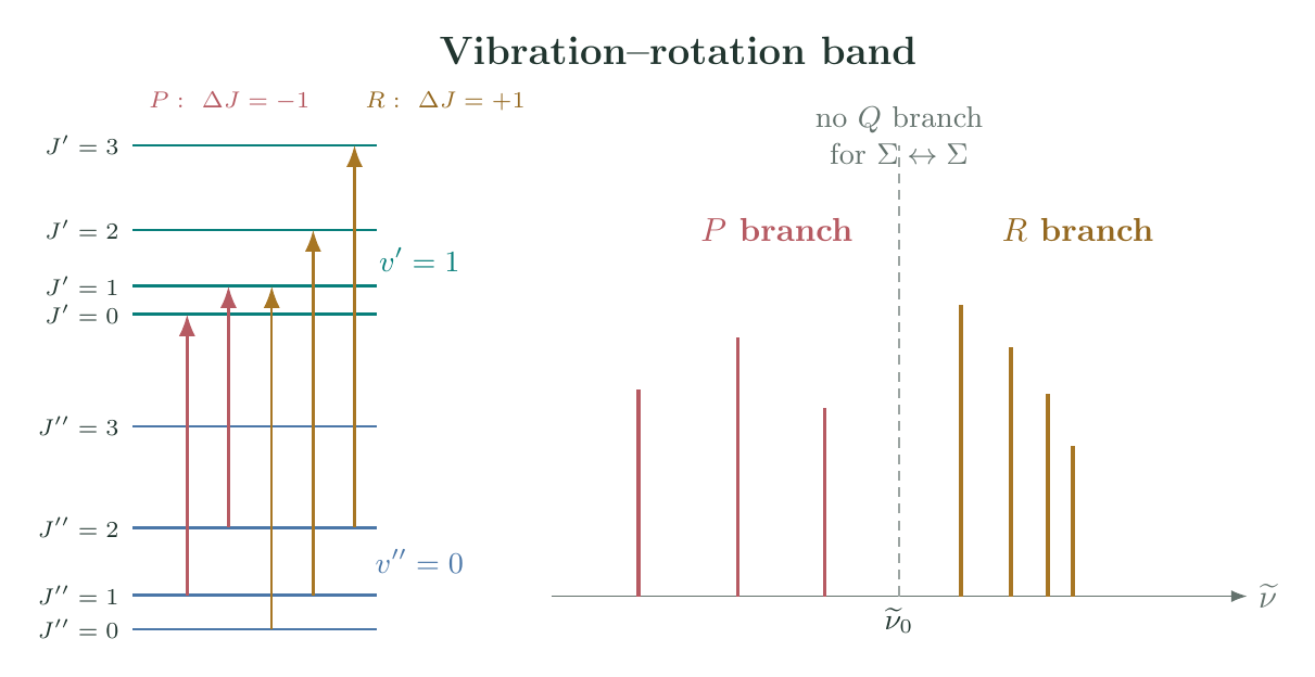 Vibration-rotation transitions between two vibrational manifolds, showing the delta J minus one P branch and delta J plus one R branch, together with their spectral lines around an absent Q branch
