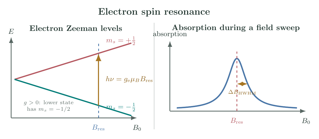 Electron spin Zeeman energies as functions of magnetic field, a transverse microwave transition at the resonance field, and the corresponding absorption line