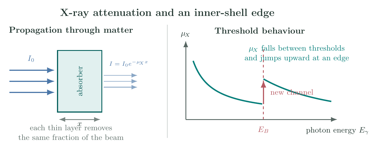 Exponential attenuation of a monochromatic X-ray beam through matter and an absorption coefficient with an inner-shell threshold edge