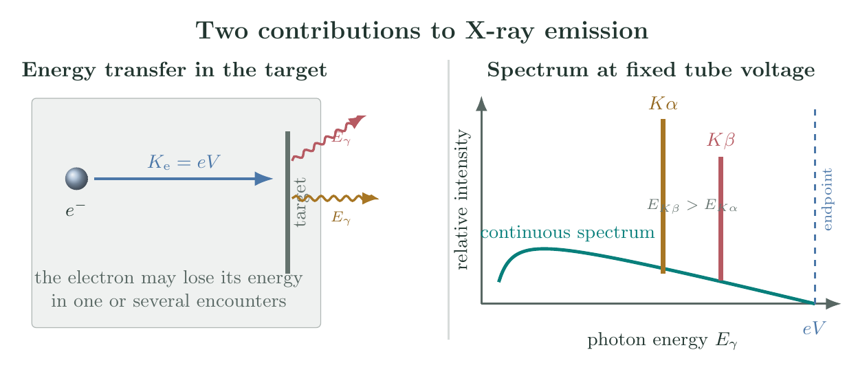 Energy accounting in an X-ray tube and a schematic photon-energy spectrum with a continuous bremsstrahlung endpoint and characteristic K-alpha and K-beta lines