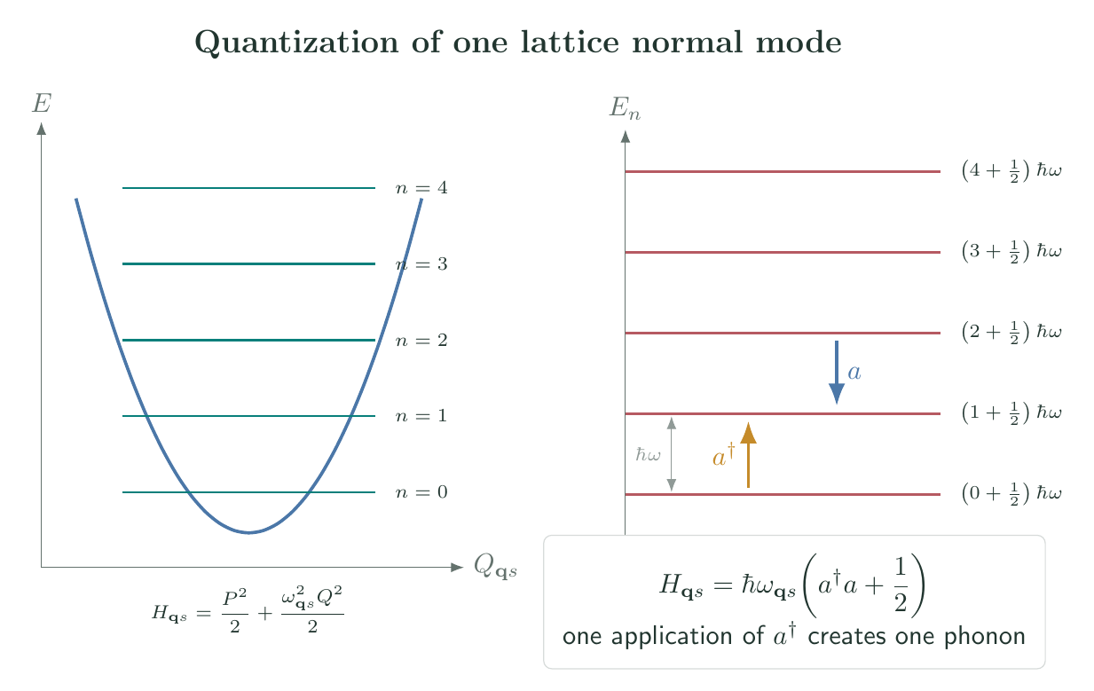 Classical normal mode mapped to a quantum harmonic oscillator ladder with phonon creation and annihilation transitions