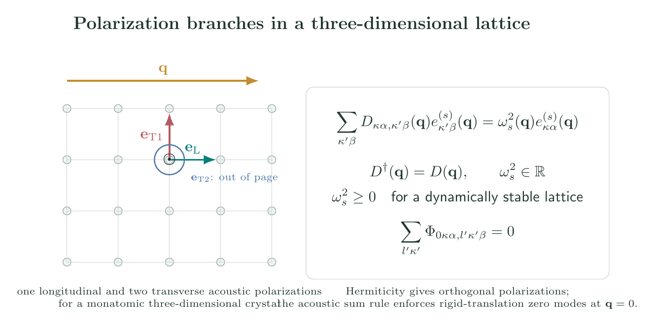 Wavevector with longitudinal and two mutually perpendicular transverse polarizations, and the Hermitian dynamical-matrix eigenproblem
