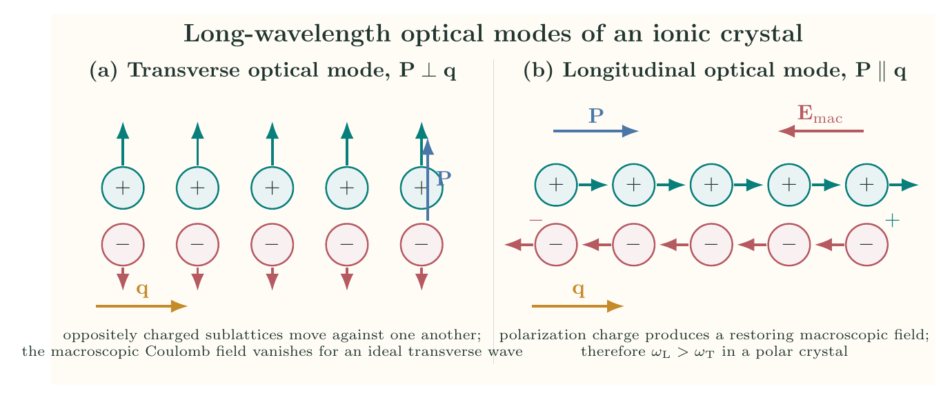 Transverse and longitudinal optical modes in an ionic crystal