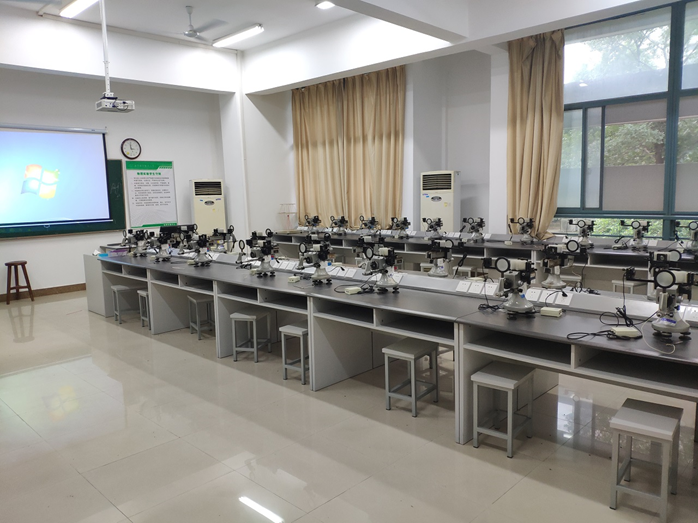 Optical laboratory containing Michelson interferometers
