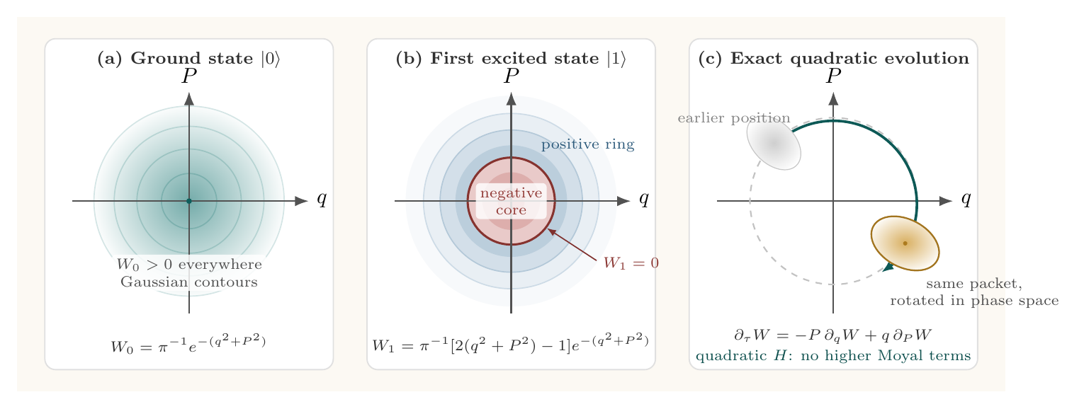 Three phase-space panels comparing the positive Gaussian Wigner function of the harmonic-oscillator ground state, the negative central region and positive ring of the first excited state, and the exact rotational evolution of a displaced wave packet
